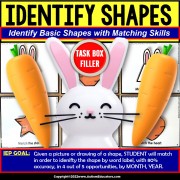 SHAPES with SPRING Theme TASK BOX FILLER® for Special Education and Autism